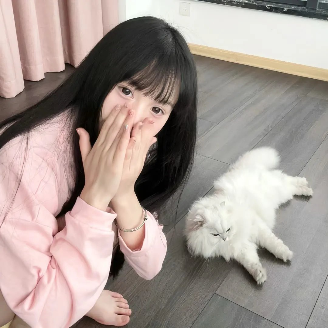 瑞士小姐 在线观看
